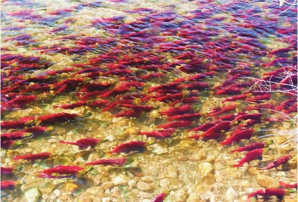 pagenumber_ebook=148,pagenumber_book=141