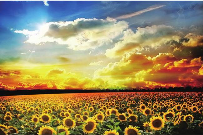 pagenumber_ebook=76,pagenumber_book=0