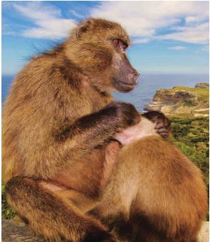 pagenumber_ebook=102,pagenumber_book=95