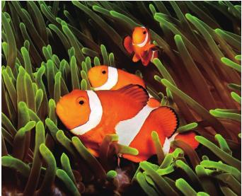 pagenumber_ebook=133,pagenumber_book=126