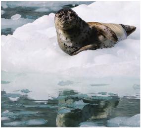 pagenumber_ebook=115,pagenumber_book=108