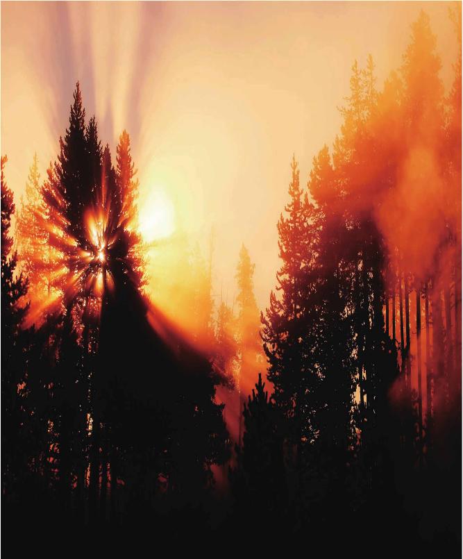 pagenumber_ebook=155,pagenumber_book=148