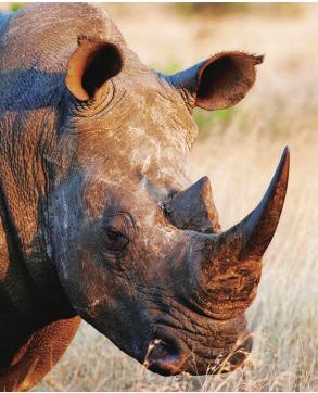 pagenumber_ebook=223,pagenumber_book=216