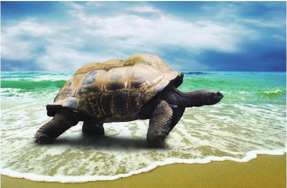 pagenumber_ebook=136,pagenumber_book=129