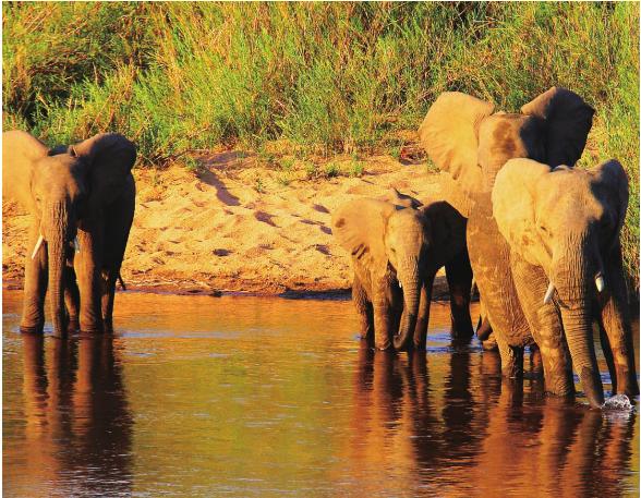 pagenumber_ebook=223,pagenumber_book=216