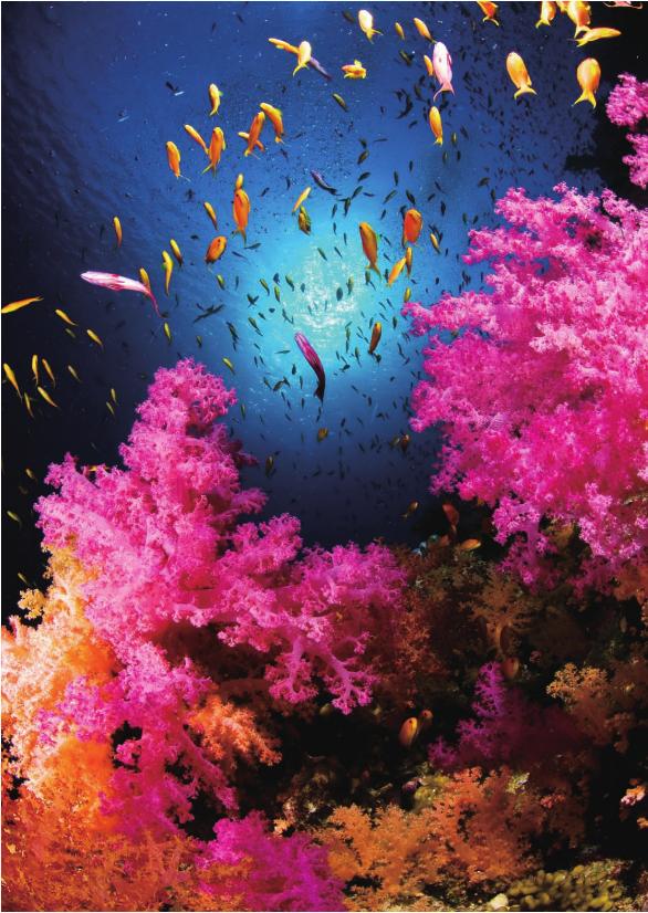 pagenumber_ebook=139,pagenumber_book=132