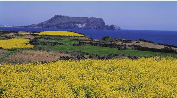 pagenumber_ebook=65,pagenumber_book=58