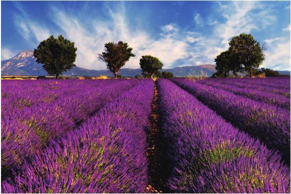 pagenumber_ebook=77,pagenumber_book=70