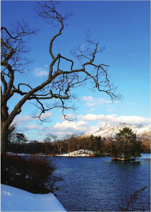 pagenumber_ebook=201,pagenumber_book=194