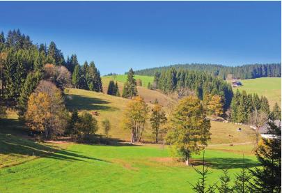 pagenumber_ebook=91,pagenumber_book=84