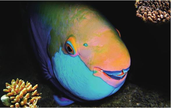 pagenumber_ebook=136,pagenumber_book=129