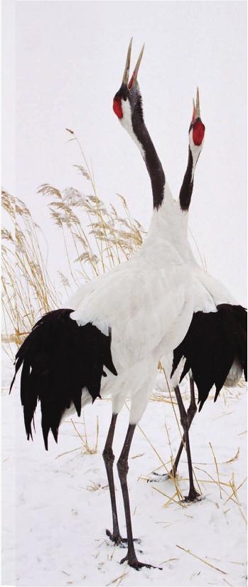 pagenumber_ebook=204,pagenumber_book=197