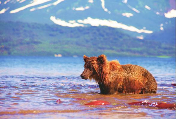 pagenumber_ebook=145,pagenumber_book=138