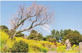 pagenumber_ebook=66,pagenumber_book=59