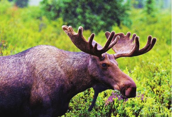 pagenumber_ebook=111,pagenumber_book=104