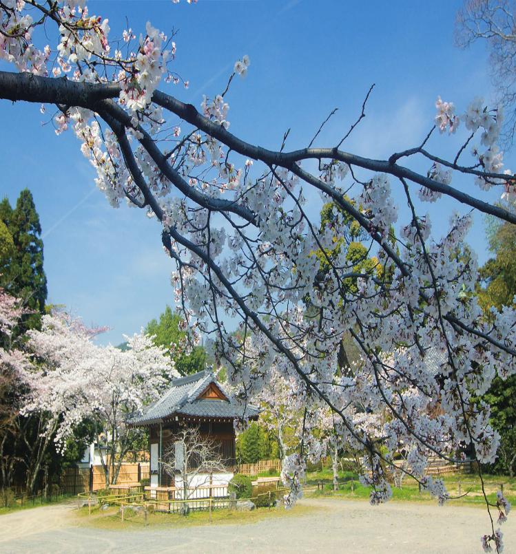 pagenumber_ebook=44,pagenumber_book=0