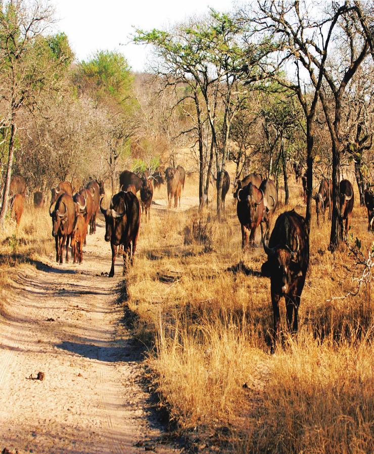 pagenumber_ebook=219,pagenumber_book=220