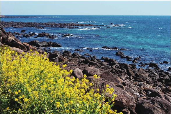 pagenumber_ebook=63,pagenumber_book=56