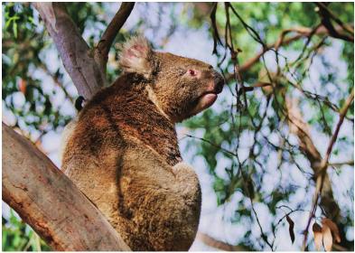 pagenumber_ebook=194,pagenumber_book=187