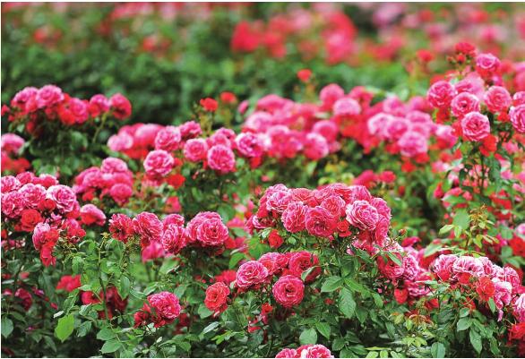 pagenumber_ebook=58,pagenumber_book=51