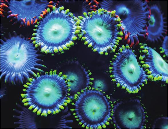 pagenumber_ebook=136,pagenumber_book=129