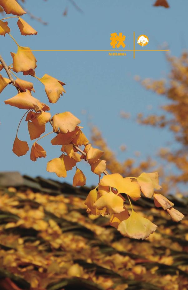 pagenumber_ebook=117,pagenumber_book=0