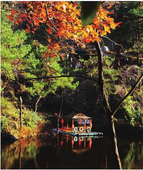 pagenumber_ebook=125,pagenumber_book=115