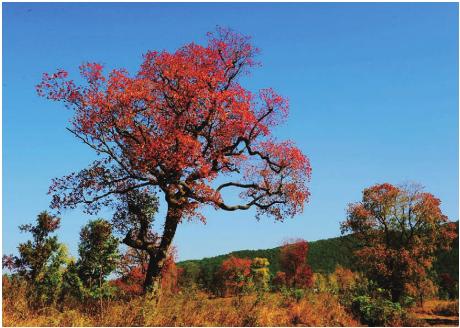 pagenumber_ebook=139,pagenumber_book=129