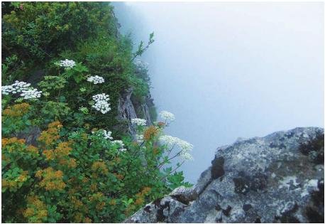 pagenumber_ebook=115,pagenumber_book=105