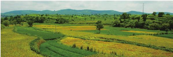 pagenumber_ebook=99,pagenumber_book=89