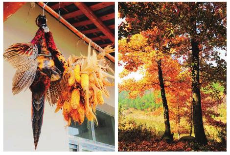 pagenumber_ebook=141,pagenumber_book=131