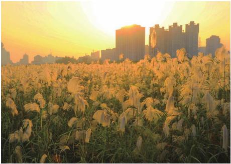 pagenumber_ebook=147,pagenumber_book=137