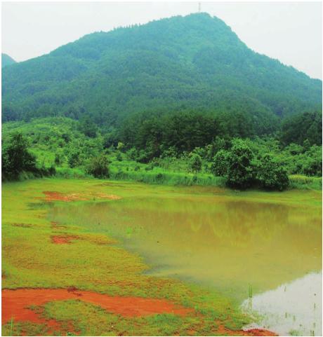 pagenumber_ebook=53,pagenumber_book=43