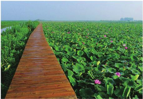 pagenumber_ebook=101,pagenumber_book=91