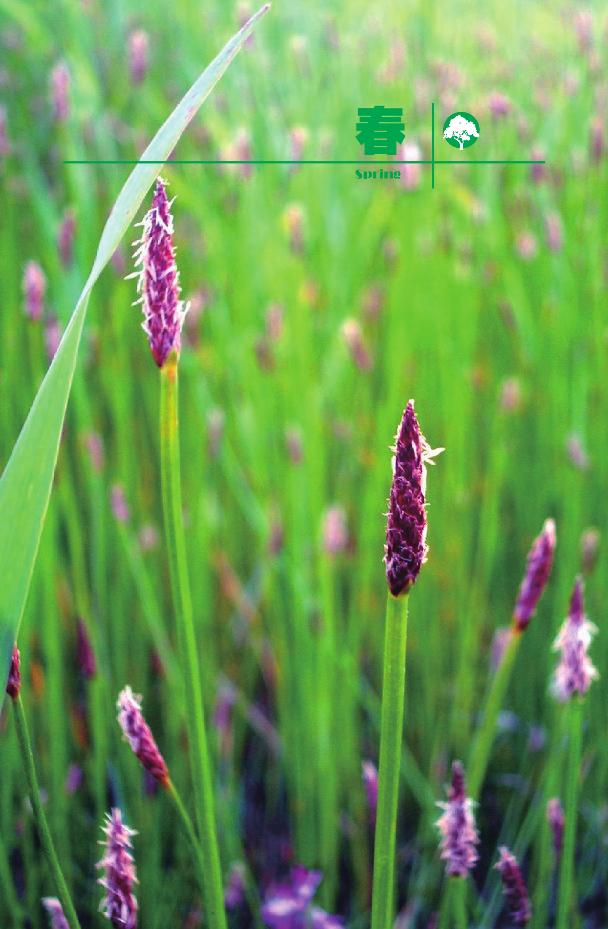 pagenumber_ebook=21,pagenumber_book=0