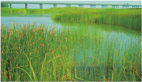 pagenumber_ebook=30,pagenumber_book=20