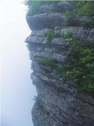 pagenumber_ebook=114,pagenumber_book=104