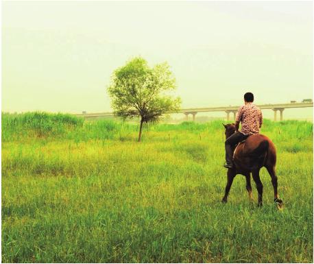 pagenumber_ebook=96,pagenumber_book=86