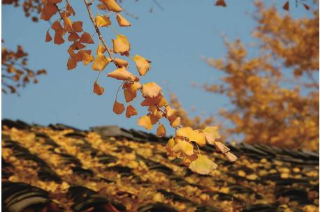 pagenumber_ebook=157,pagenumber_book=147