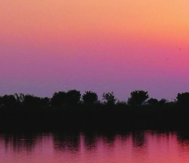 pagenumber_ebook=104,pagenumber_book=94