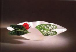 pagenumber_ebook=73,pagenumber_book=67