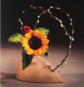 pagenumber_ebook=16,pagenumber_book=10