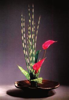 pagenumber_ebook=56,pagenumber_book=50