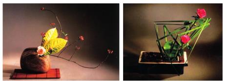 pagenumber_ebook=56,pagenumber_book=50