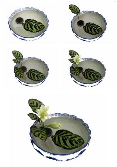 pagenumber_ebook=41,pagenumber_book=35