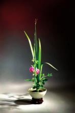 pagenumber_ebook=32,pagenumber_book=26