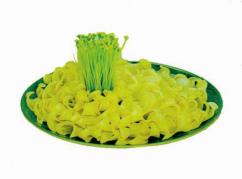 pagenumber_ebook=59,pagenumber_book=53