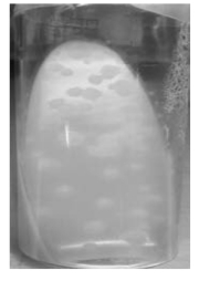 pagenumber_ebook=81,pagenumber_book=74