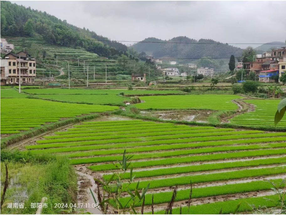 1732182464157 1732182464157.png