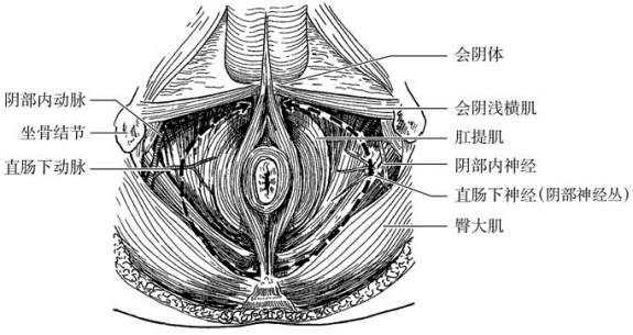 pagenumber_ebook=406,pagenumber_book=391